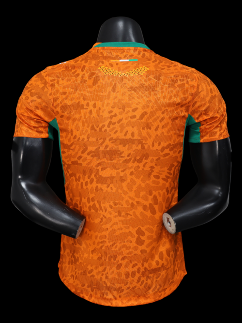 Ivory Coast Home Jersey 26/27 – Player Version