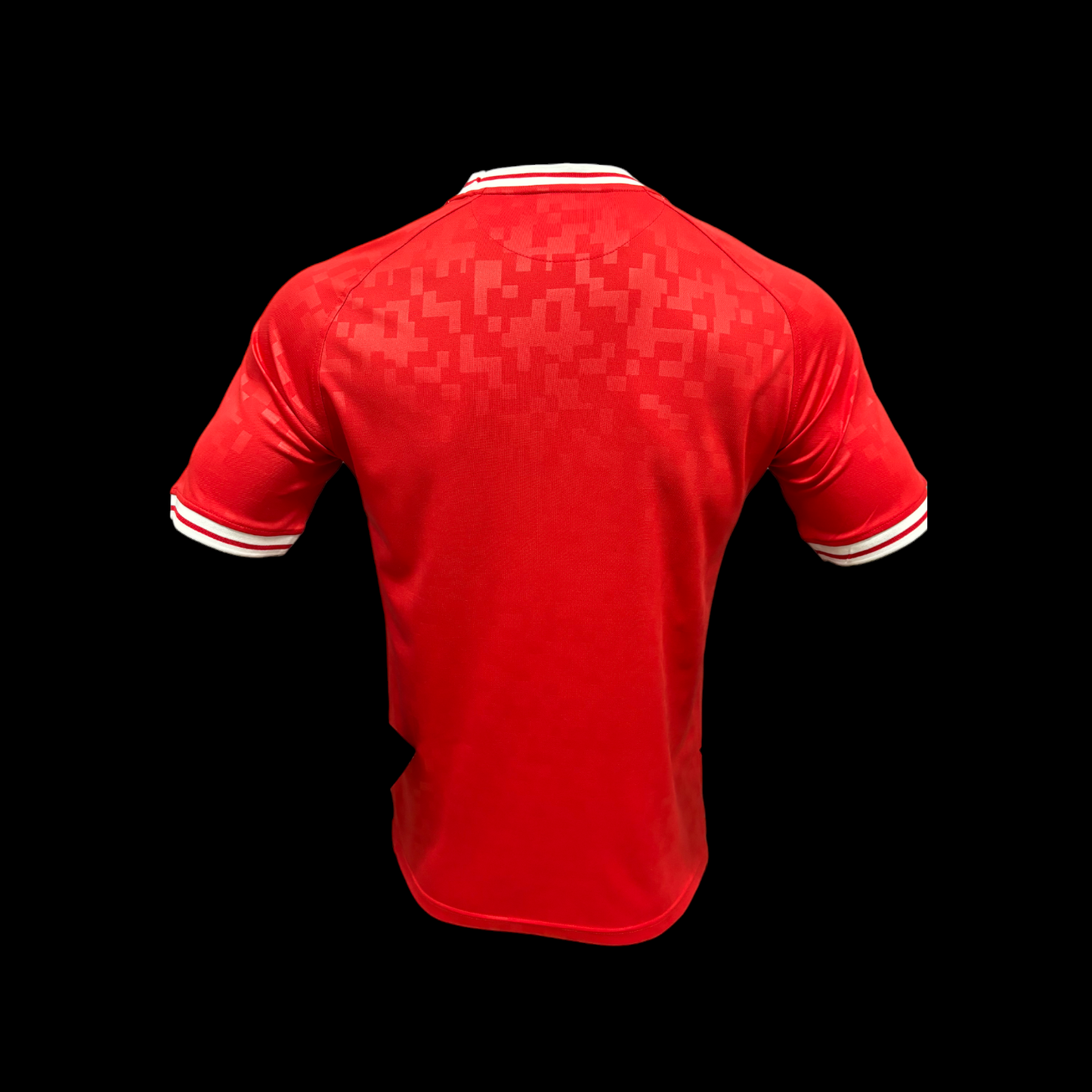 Denmark Home Shirt 24/25 - Player Version