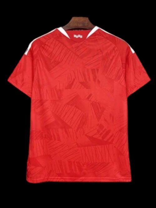 Benfica Maillot Domicile 26/27