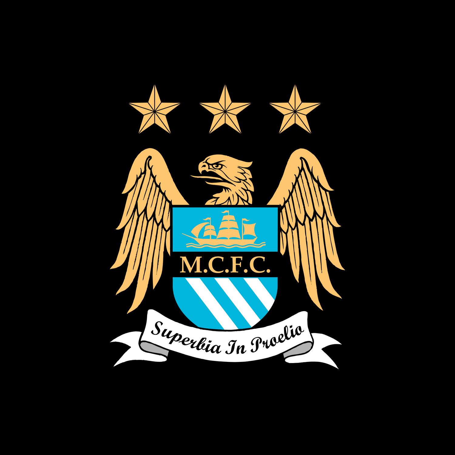 Manchester City Vintage