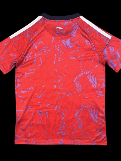 Costa Rica Maillot Domicile 26/27