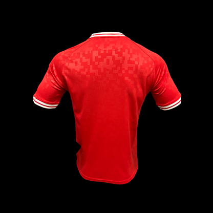 Denmark Home Shirt 24/25 - Player Version