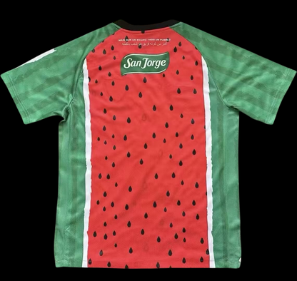 CD Palestino Maillot Third 25/26